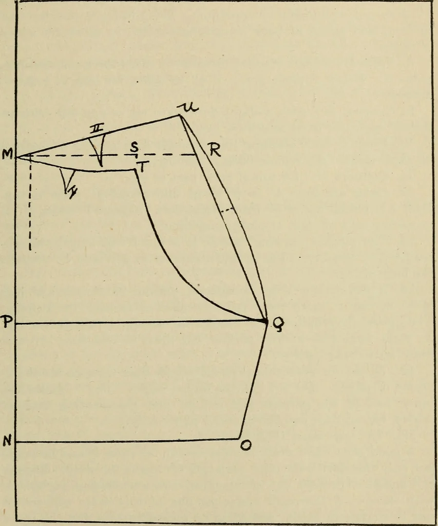 An illustration from Shelter and clothing; a textbook of the household arts, 1916, leaf 232