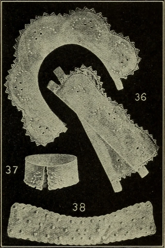 An illustration from Shelter and clothing; a textbook of the household arts, 1916, leaf 250