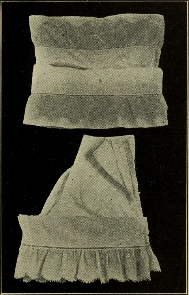 An illustration from Shelter and clothing; a textbook of the household arts, 1916, leaf 252