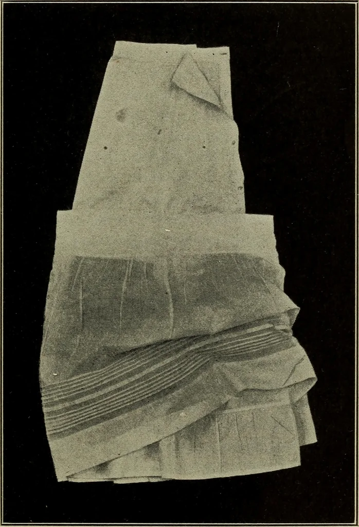 An illustration from Shelter and clothing; a textbook of the household arts, 1916, leaf 254
