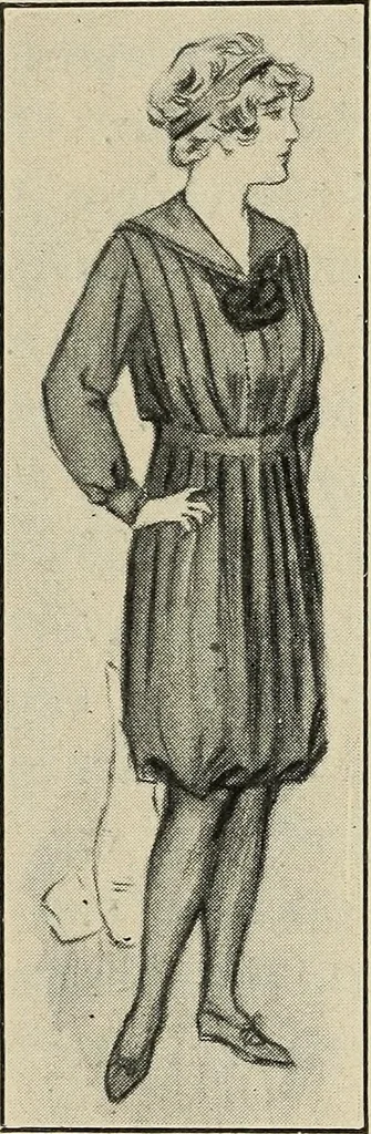 An illustration from Shelter and clothing; a textbook of the household arts, 1916, leaf 341