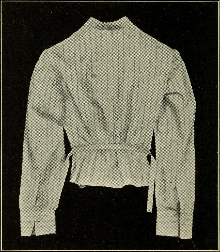 An illustration from Shelter and clothing; a textbook of the household arts, 1916, leaf 343