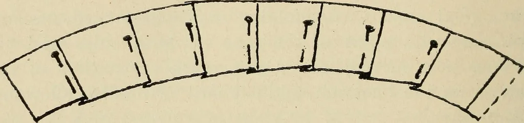 An illustration from Shelter and clothing; a textbook of the household arts, 1916, leaf 355