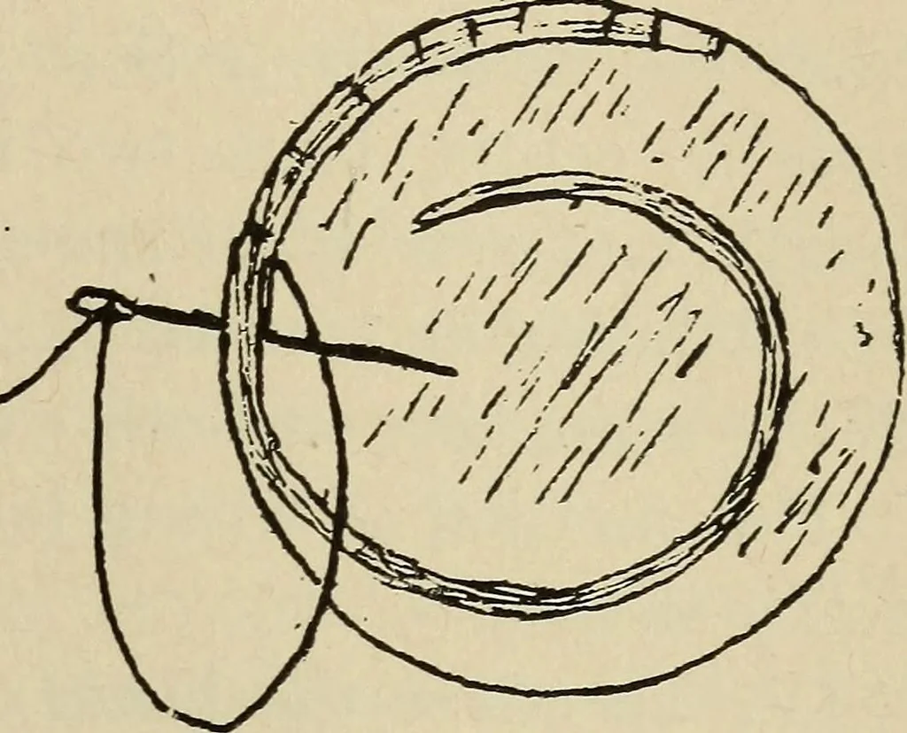 An illustration from Shelter and clothing; a textbook of the household arts, 1916, leaf 356
