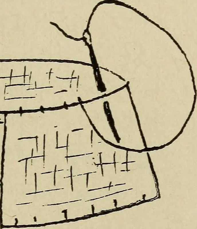 An illustration from Shelter and clothing; a textbook of the household arts, 1916, leaf 356