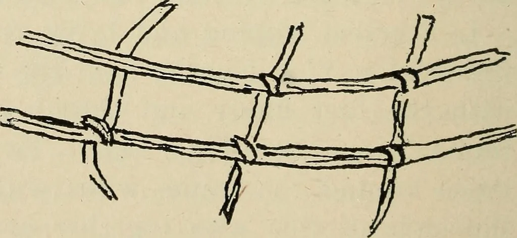 An illustration from Shelter and clothing; a textbook of the household arts, 1916, leaf 361