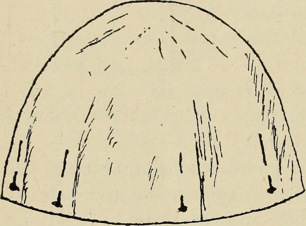 An illustration from Shelter and clothing; a textbook of the household arts, 1916, leaf 365