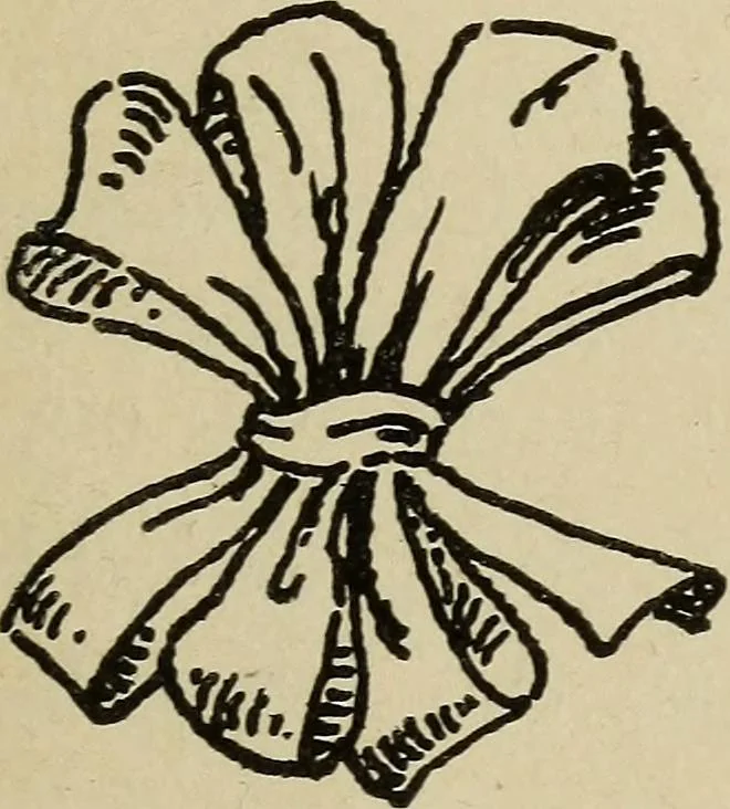An illustration from Shelter and clothing; a textbook of the household arts, 1916, leaf 368