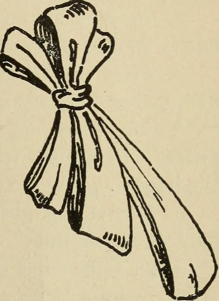 An illustration from Shelter and clothing; a textbook of the household arts, 1916, leaf 368