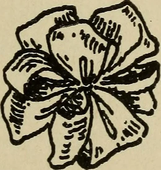 An illustration from Shelter and clothing; a textbook of the household arts, 1916, leaf 368