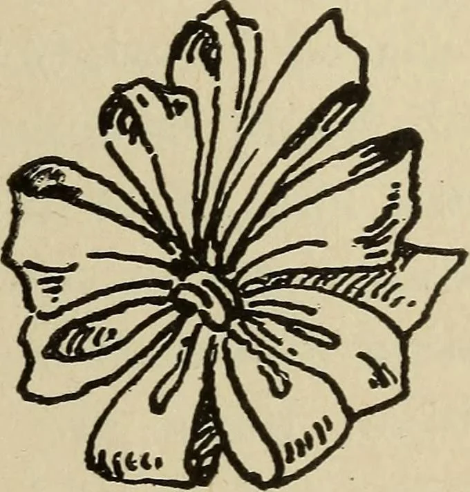 An illustration from Shelter and clothing; a textbook of the household arts, 1916, leaf 368