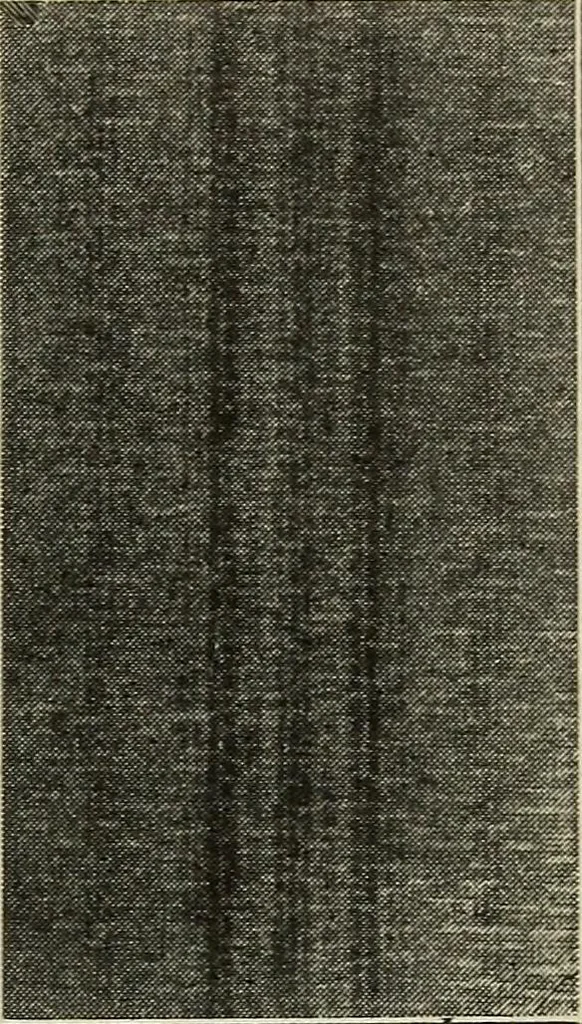 An illustration from Shelter and clothing; a textbook of the household arts, 1916, leaf 86