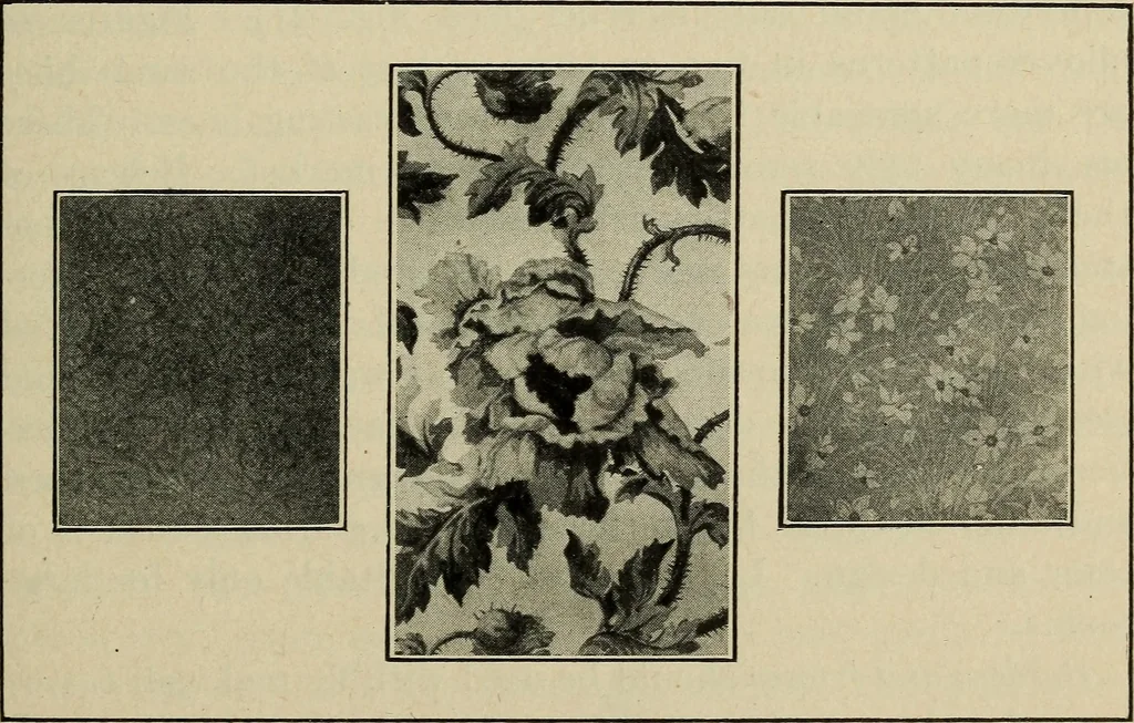 An illustration from Shelter and clothing; a textbook of the household arts, 1916, leaf 86