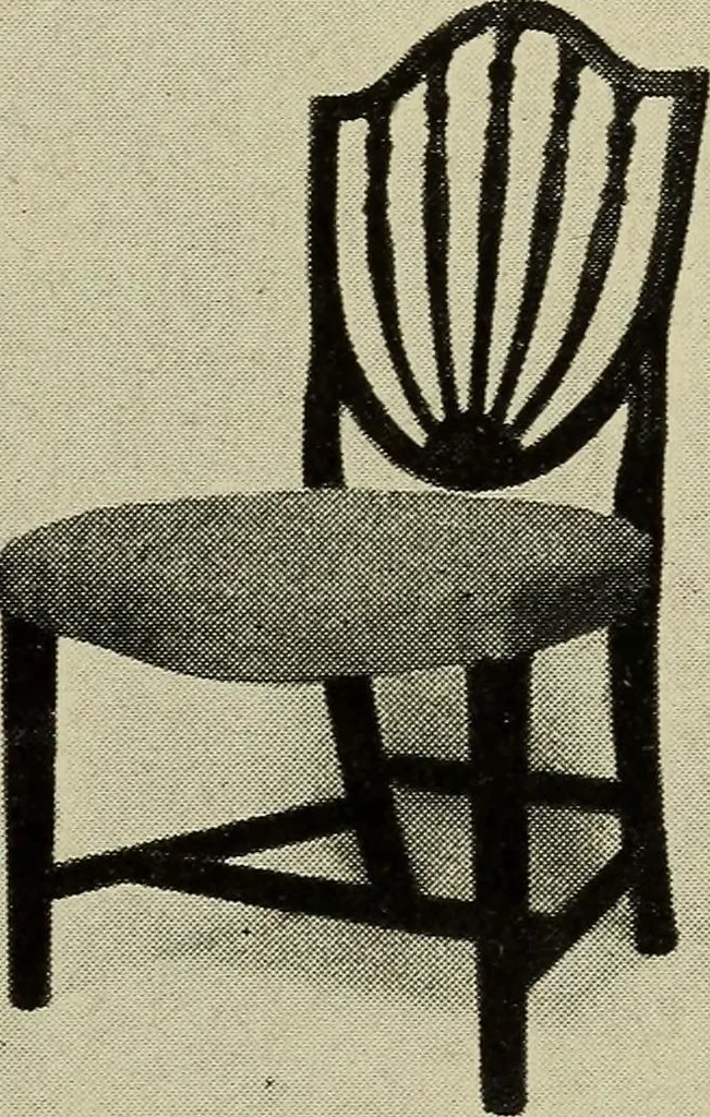 An illustration from Shelter and clothing; a textbook of the household arts, 1916, leaf 98