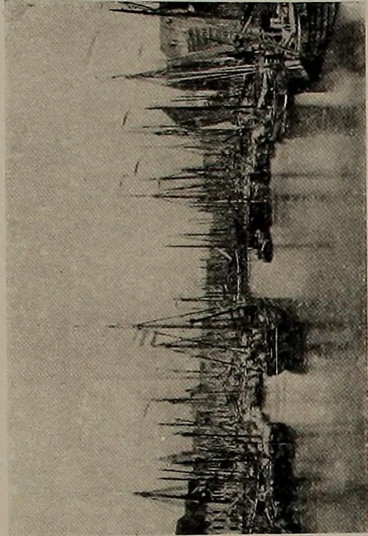 An illustration from Shipbuilding from its beginnings, 1913, leaf 77