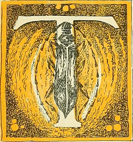 An illustration from Shipbuilding from its beginnings, 1913, leaf 108