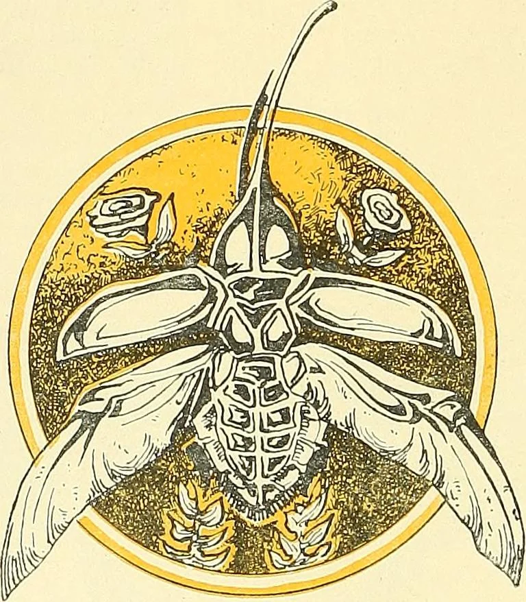 An illustration from Shipbuilding from its beginnings, 1913, leaf 37