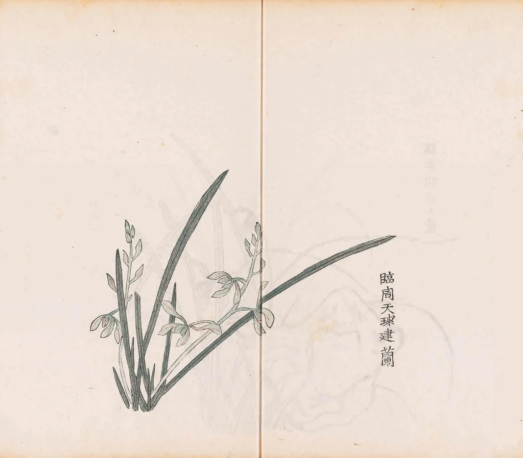 An illustration from Shi zhu zhai shu hua pu, 1879, leaf 24