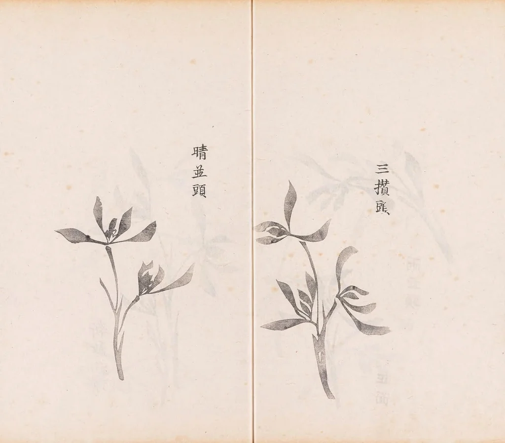 An illustration from Shi zhu zhai shu hua pu, 1879, leaf 36
