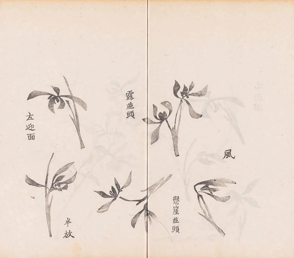 An illustration from Shi zhu zhai shu hua pu, 1879, leaf 39