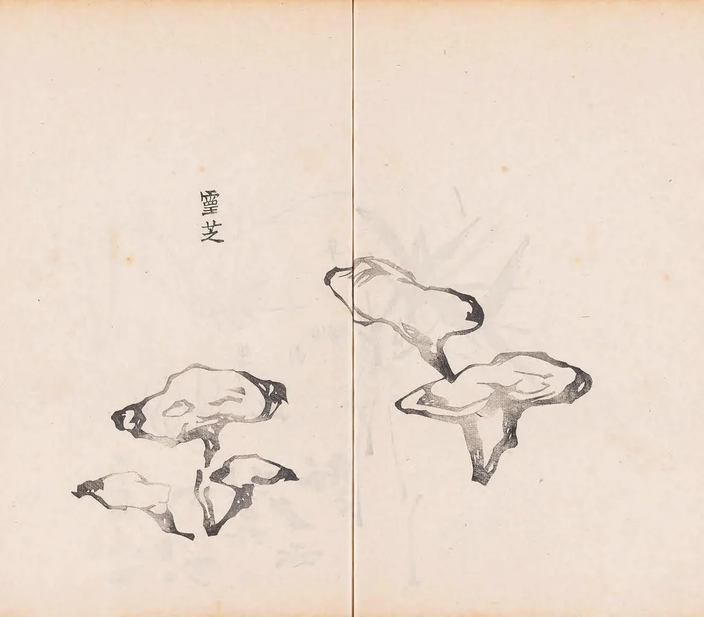 An illustration from Shi zhu zhai shu hua pu, 1879, leaf 44
