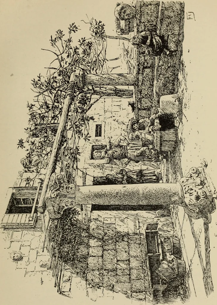 An illustration from The shores of the Adriatic, the Austrian side : the Küstenlande, Istria, and Dalmatia, 1908, leaf 450