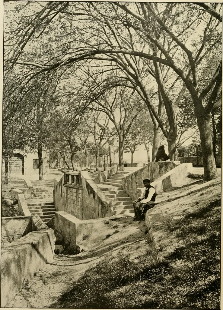An illustration from The shores of the Adriatic, the Austrian side : the Kèustenlande, Istria, and Dalmatia, 1908, leaf 295