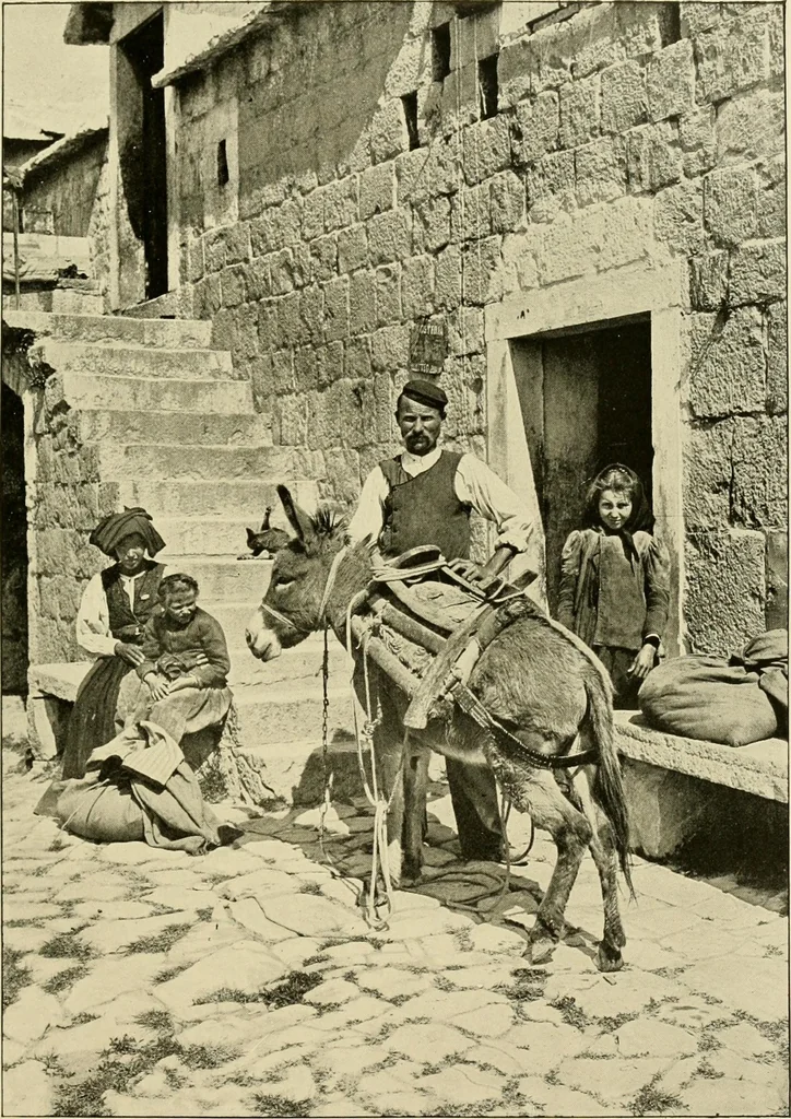 An illustration from The shores of the Adriatic, the Austrian side : the Kèustenlande, Istria, and Dalmatia, 1908, leaf 456