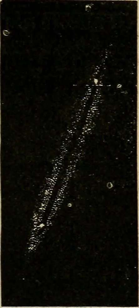 An illustration from A short course in astronomy and the use of the globes, 1871, leaf 166