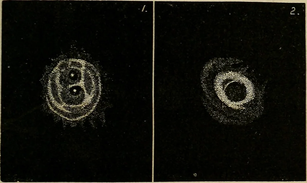 An illustration from A short course in astronomy and the use of the globes, 1871, leaf 168