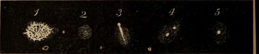 An illustration from A short course in astronomy and the use of the globes, 1871, leaf 169