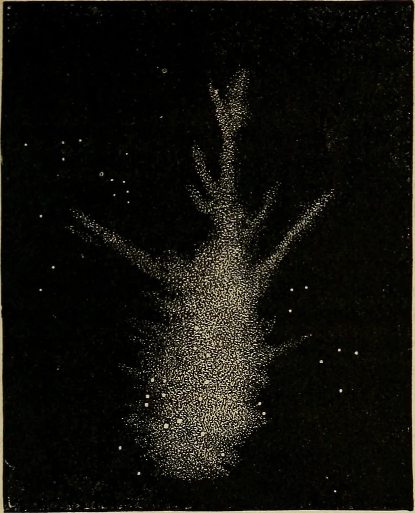 An illustration from A short course in astronomy and the use of the globes, 1871, leaf 170