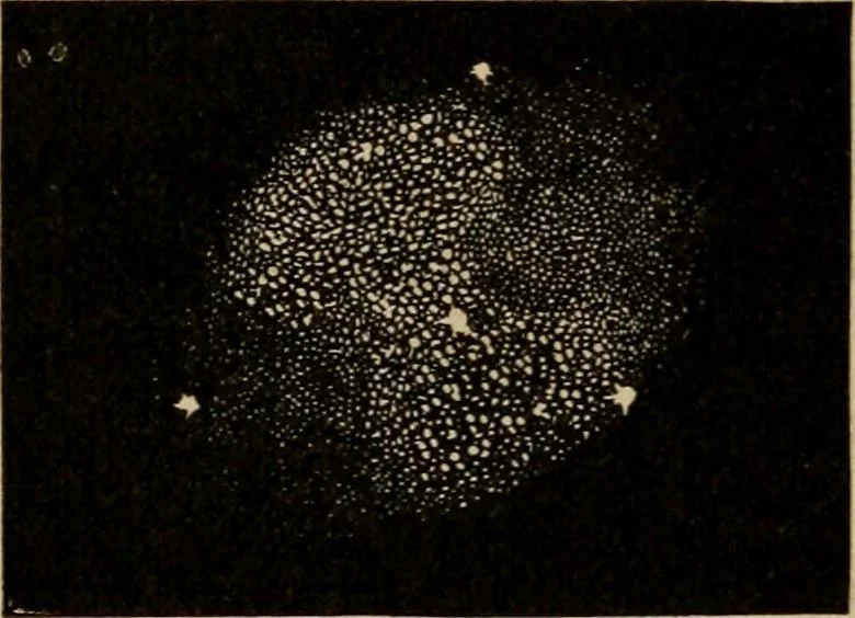An illustration from A short course in astronomy and the use of the globes, 1871, leaf 171