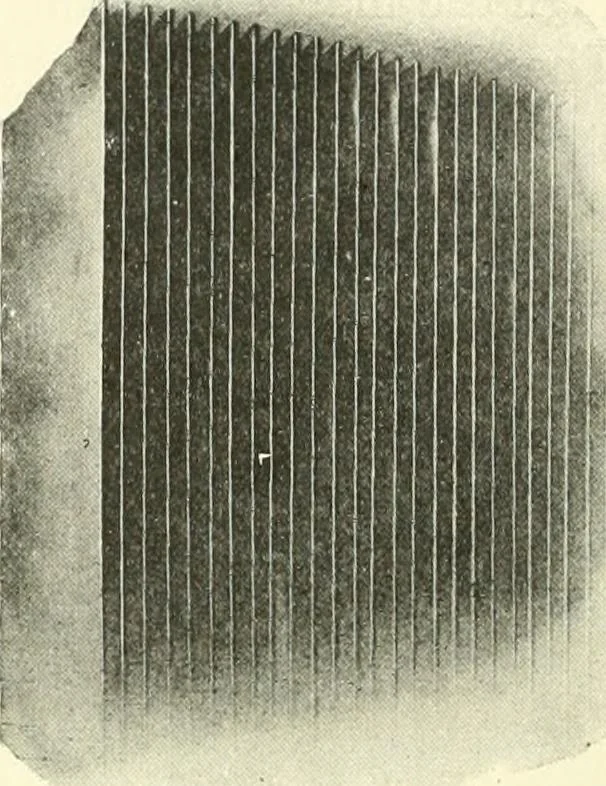 An illustration from A shorter course in woodworking; a practical manual for home and school, 1911, leaf 133