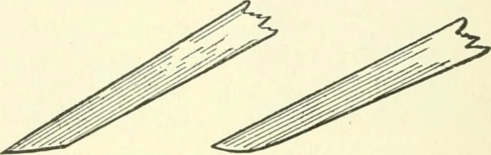 An illustration from A shorter course in woodworking; a practical manual for home and school, 1911, leaf 153