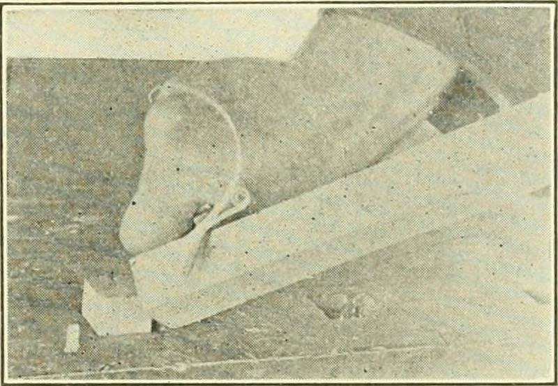 An illustration from A shorter course in woodworking; a practical manual for home and school, 1911, leaf 162