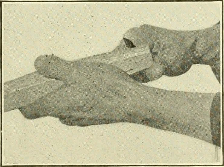 An illustration from A shorter course in woodworking; a practical manual for home and school, 1911, leaf 162