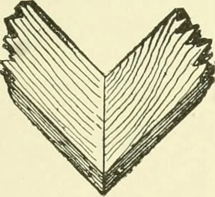An illustration from A shorter course in woodworking; a practical manual for home and school, 1911, leaf 166