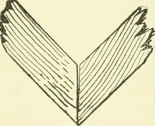 An illustration from A shorter course in woodworking; a practical manual for home and school, 1911, leaf 166