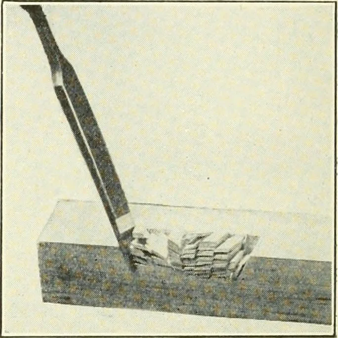 An illustration from A shorter course in woodworking; a practical manual for home and school, 1911, leaf 169