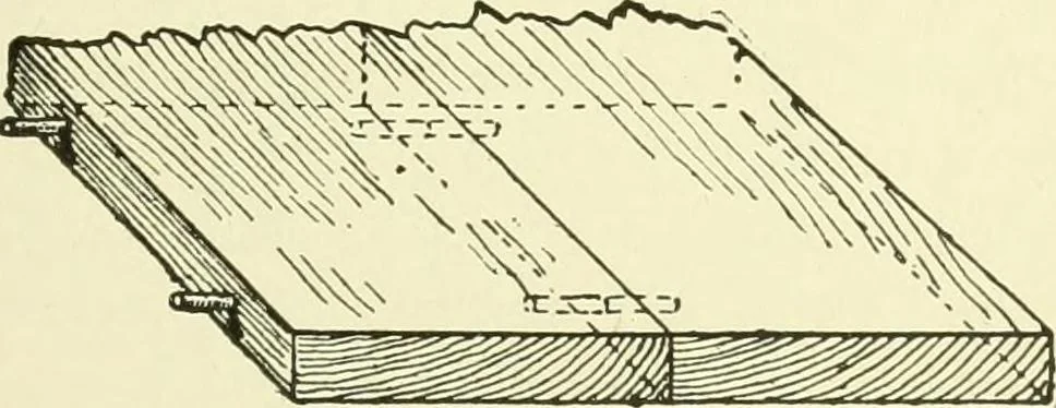 An illustration from A shorter course in woodworking; a practical manual for home and school, 1911, leaf 176