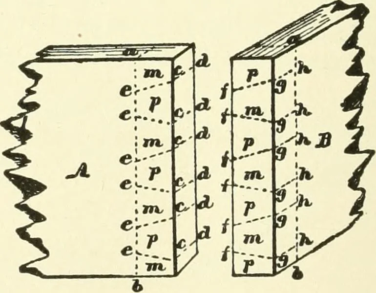 An illustration from A shorter course in woodworking; a practical manual for home and school, 1911, leaf 177