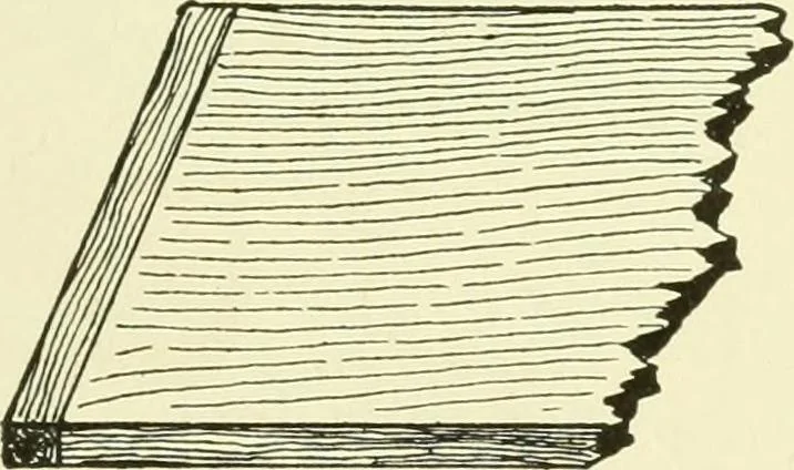 An illustration from A shorter course in woodworking; a practical manual for home and school, 1911, leaf 180