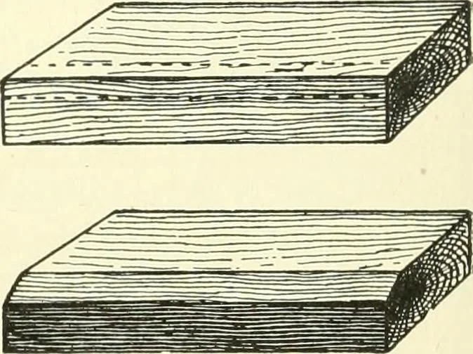 An illustration from A shorter course in woodworking; a practical manual for home and school, 1911, leaf 181