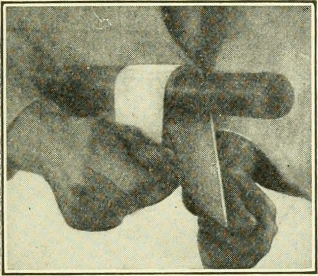 An illustration from A shorter course in woodworking; a practical manual for home and school, 1911, leaf 184