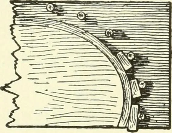 An illustration from A shorter course in woodworking; a practical manual for home and school, 1911, leaf 185