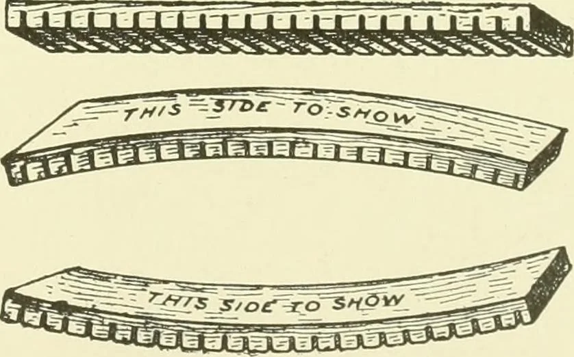 An illustration from A shorter course in woodworking; a practical manual for home and school, 1911, leaf 186