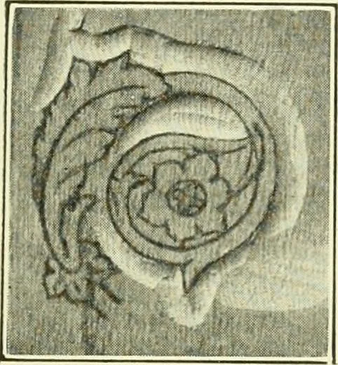 An illustration from A shorter course in woodworking; a practical manual for home and school, 1911, leaf 196