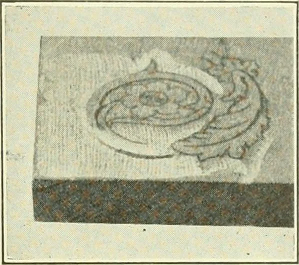 An illustration from A shorter course in woodworking; a practical manual for home and school, 1911, leaf 198