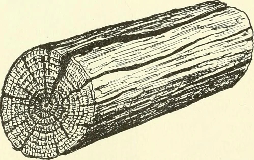 An illustration from A shorter course in woodworking; a practical manual for home and school, 1911, leaf 225